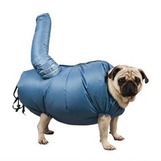 반려동물 전용 목욕 드라이룸 강아지 고양이 드라이기, 1개, L