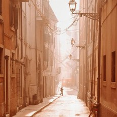 풍경 지중해 그리스 베고니아 올리브 나무 포스터 그림 벽 예술 홈 장식, 5. 06