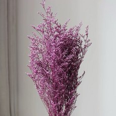 無名精選 乾燥花卡斯比亞花束 拍照佈置裝飾, 100克/大把/卡斯比亞(紫色)