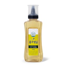 봉아 국내산 사양벌꿀, 1개, 500g