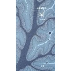 뇌 | 창해ABC북, 창해