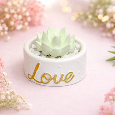 골드 다육이화분석고방향제 호두마루샵 새해신년단체선물 돌잔치웨딩답례품 스승의날선물 감사퇴사개업선물 석고방향제/오퓨저, 5.쟈스민민트