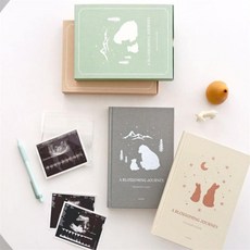 빅조이 임신 다이어리 초음파앨범