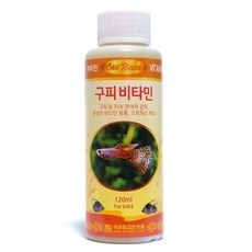 원터치 구피비타민 120ml, 1개