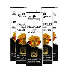 에버그린 뉴질랜드 액상 프로폴리스, 30ml, 5개