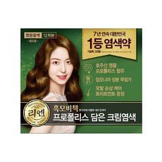 리엔 흑모비책 프로폴리스 담은 크림 염색제 새치용 12회분 밝은갈색 N4, 12개