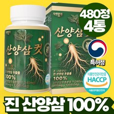 자연온정 산양삼 컷 진 정품 HACCP 인증, 4개, 120정