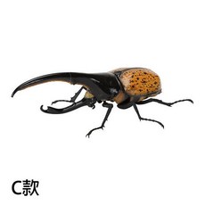 【M.M小舖現貨】BANDAI 轉蛋 扭蛋 生物大圖鑑 獨角仙09 兜蟲 昆蟲 圖鑑 模型 全6款, 1個, C款/赫克力士長戟大兜蟲-橘色款