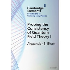 (영문도서)Probing the Consistency of Quantum Field Theory I: From Nonconvergence to Haag's... Hardcover, Cambridge University Press, English, 9781009619271