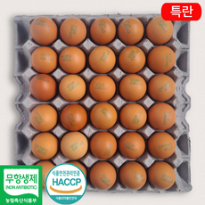 [제이피농장] 난각번호 3번 무항생제 계란 신선한 특란 HACCP, 1개, 30구