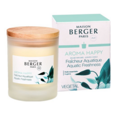 메종베르제 아로마 컬렉션 캔들, 1개, 180g, 1SCENT / 해피