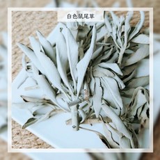沐海 白色鼠尾草 原枝葉, 買5送1, 200g