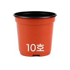 모두다 모종포트 육묘화분 삽목화분 이색포트 10cm, 50개, 이색포트(적색)