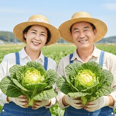 조선명찬 프리미엄 국내산 해남 제철 봄동, 1박스, 2kg