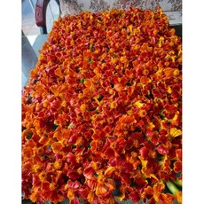 메리골드차 선물 마리골드 눈에 좋은 차 금잔화, 1개, 30g