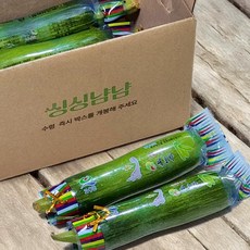 싱싱냠냠 국내산 인큐애호박 햇 애호박, 5개, 가정용(상)