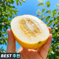 [하루50박스만!!] 아삭달콤 꿀brix 참외 성주참외, 1개, 1kg