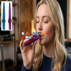 심박한찌누 메탈릭 알루미늄 취미용 멜로디 악기 피리 악기선물, 1개, 블루