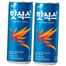 롯데 핫식스 x 60캔 250ml (30캔x2박스), 60개입