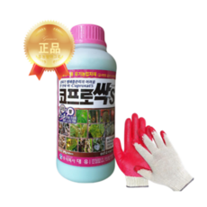 대유 코프로싹S 1L 마늘 양파 잎마름병 흑색썩음균핵병 고추 탄저병 사과 탄저병, 1개