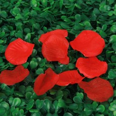 꿀이맘 플라워샤워 꽃잎 컨페티 레드 100장 웨딩촬영소품