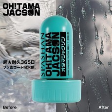 스파샨 오타마 잭슨 차량용 유리 코팅제