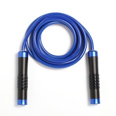 정수생활건강 중량줄넘기 선수용 복싱 줄넘기, 블루, 1개