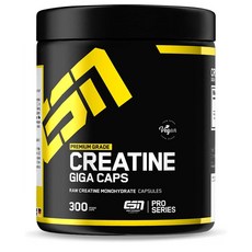 ESN 독일 프리미엄 크레아틴 기가 캡스 Creatine Giga 300캡슐, 1개, 300정