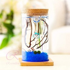 로즈밀 마리모 LED 유리병 미니유리병 마리모병