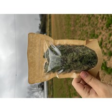 [향나눔허브원] 페퍼민트 국내산, 10g, 1개, 1개입