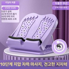 피트니스 경사 보드 스트레치 스트레칭 EPP 스쿼트, 로란퍼플 10단 조절 두꺼운 대형