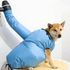 펫 드라이 건조복 간편 애견 목욕용품 드라이 수트, 1개, 스카이블루