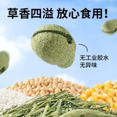 고양이 캣닢 막대사탕 반려묘 장난감, A. 카노 햄스터 젖니 간식 노킹피쉬 젖니 스