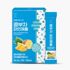 데이앤 콤부차 파인애플, 5g, 10개입, 1개