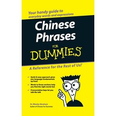 더미를 위한 중국어 문구