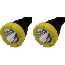 미끄럼 방지 그립과 밀폐된 푸시 버튼이 있는 Dorcy 180루멘 내후성 고무 LED 손전등 다양한 색상412968 중형 블랙, 1 Count (Pack of 2)