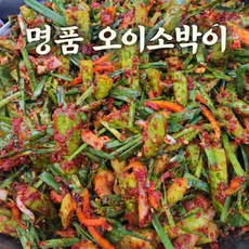 [국내산] 하나 하나 직접 바르는 전라도식 특제 양념 아삭한 명품 오이소박이 [명품반찬가게 집반찬], 500g, 2개