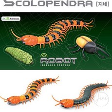JINI 지네 RC 로봇장난감