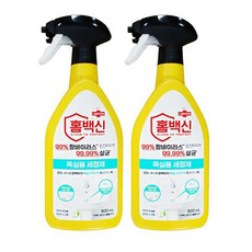 애경 랩신 홈백신 욕실용 세정제 600ml 2개 찌든때 살균 세균 제거 변기