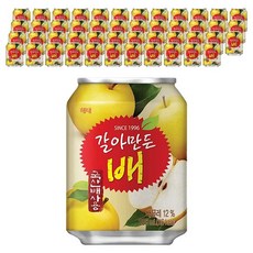 갈아만든배 238ml x 48캔 24캔 2박스, 상세설명 참조