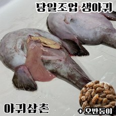 당일조업 생아귀 꼬리살 꼬릿살 1kg 손질 아귀 안키모 오만둥이 아귀간 대창 찜 탕 수육 매운탕, 1개, 생아귀 한마리+ 급냉오만둥이200g