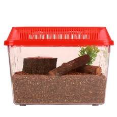 곤충농장 장수풍뎅이 초급 사육 세트, 1세트, 레드