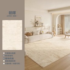 DIU 地毯客廳原木奶油風簡約防水耐髒易打理高級感臥室牀邊毯地毯, 1個, s仿羊絨-朝暉