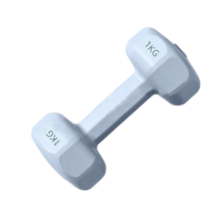 重訓瑜伽小啞鈴, 1個, 1kg