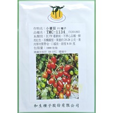 【野菜部屋~】小蕃茄 F1 種子 TMC-1134 抗TY病毒病 果重約25-28公克 建議存放於10-15°C 環境, 1包