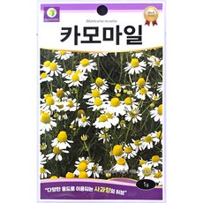카모마일 5000립(1g) 다농 26년 허브씨앗