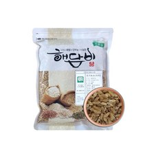 국내산 유기농호라산밀 1kg (2025년산), 1개