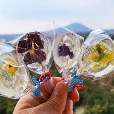 수제사탕 꽃+설탕 만들기 1 Set (식용꽃 화이트데이 캔디 DIY키트), 1개