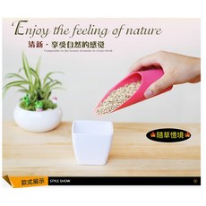 隨草憶境 鏟土杯 多肉微景觀塑料筒鏟, 1個, 單入（小，顏色隨機16*6cm）