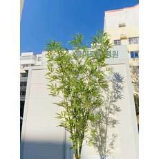 인테리어조화 인조대나무 테라스 베란다 조화나무 야외정원, 1.8m 고밀도 대나무 10개